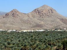 156 Oase Al Hamra, Landschaft.JPG